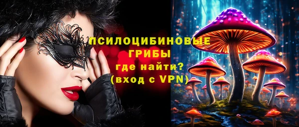 амфетамин Ельня