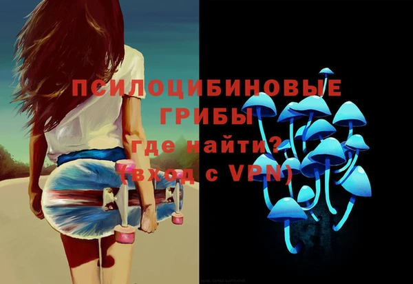амфетамин Ельня