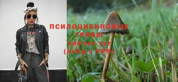 ECSTASY Елабуга