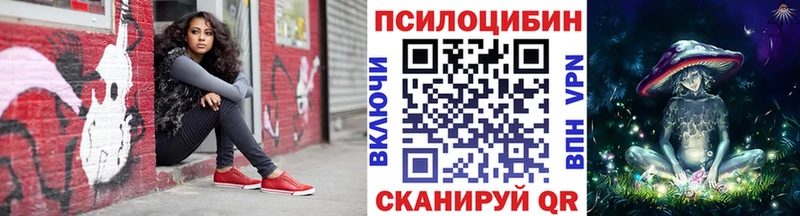 где найти   Шали  Галлюциногенные грибы GOLDEN TEACHER 
