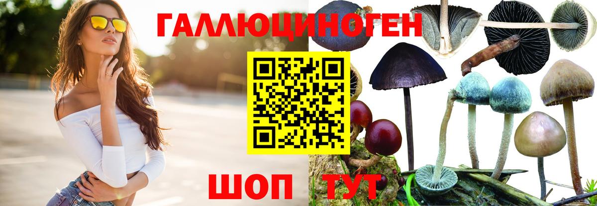 Галлюциногенные грибы мицелий Шали